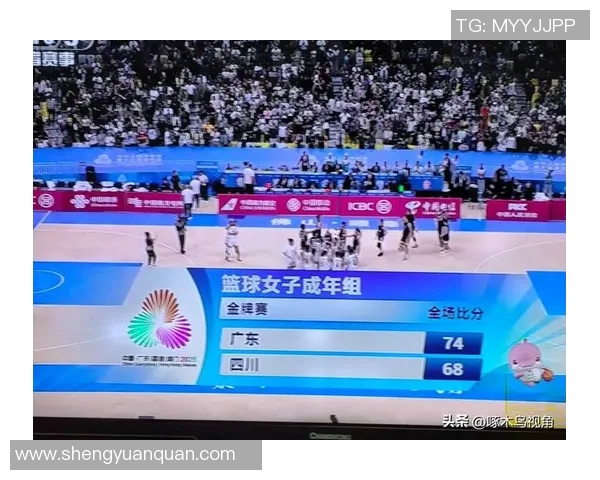 四川男篮签下澳洲中锋 元旦将迎来主场首秀